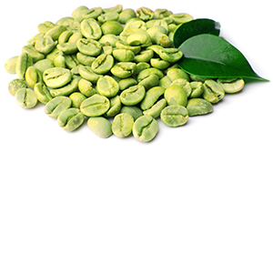 Green Coffee Pro